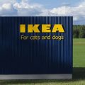 Ikea for dogs 380-380