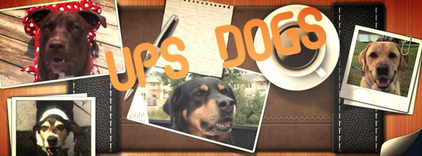 ups dogs facebook page
