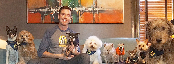 steve greig and his dogs
