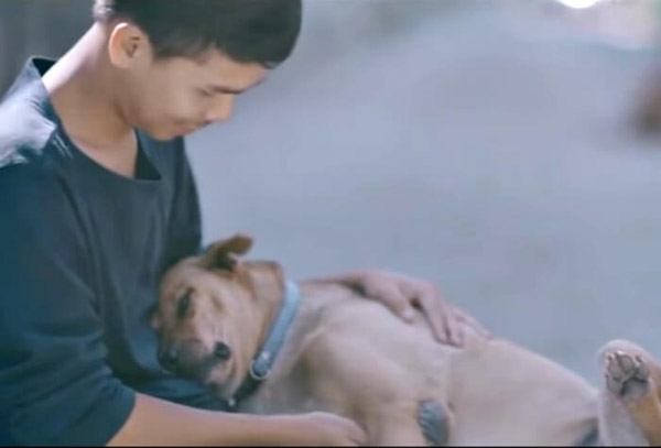 stray dog falling asleep in his arms