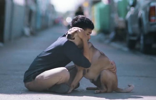 stray dog being hugged