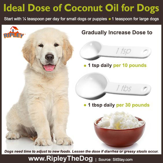 ideal does of coconut oil