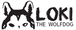 loki logo