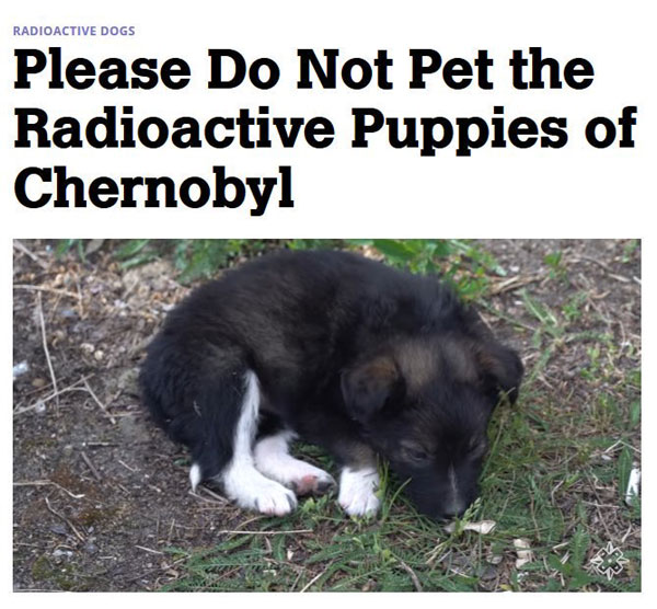 radioactive puppies