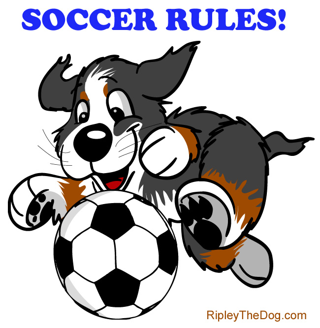 soccer rules