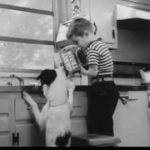 classic-dog-food-commercial