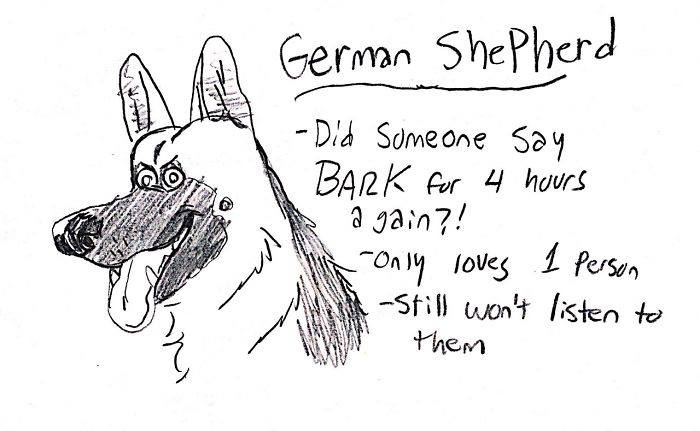 german shepherd