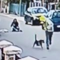 stray dog saves woman