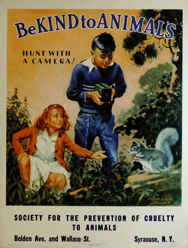 Posters by the Society for the Prevention of Cruelty to Animals