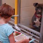 children reading to dogs