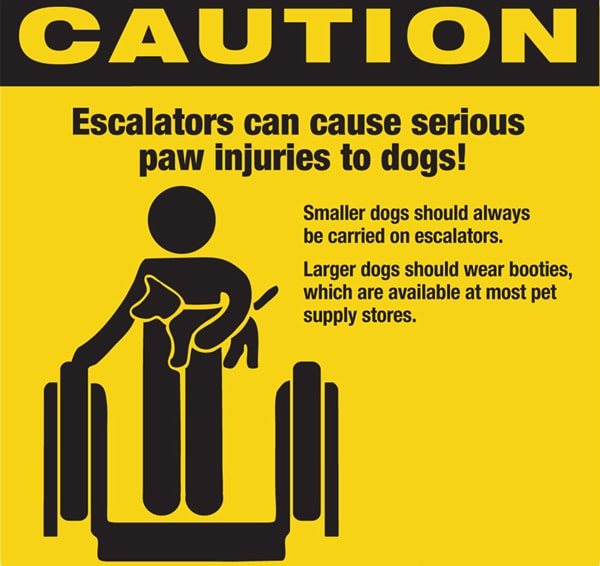 dogs and escalators