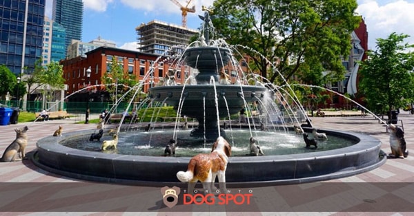dog fountain