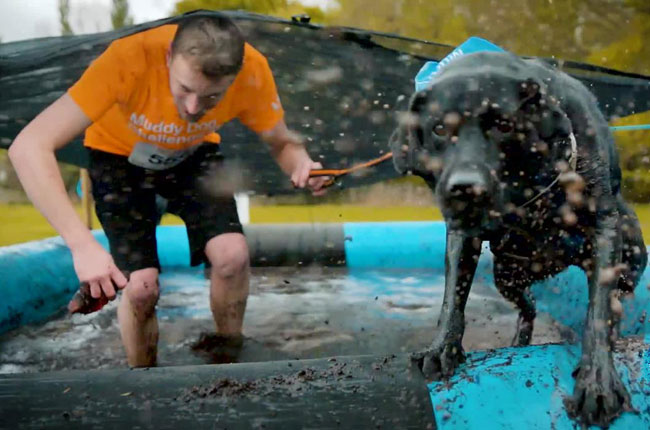 muddy-dog-challenge-2