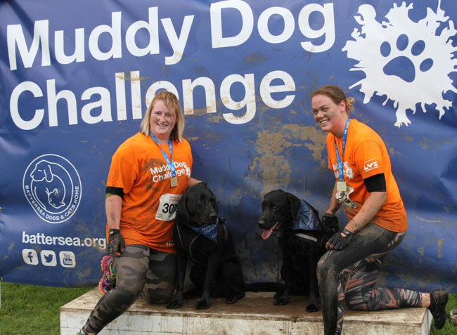 muddy-dog-challenge-9